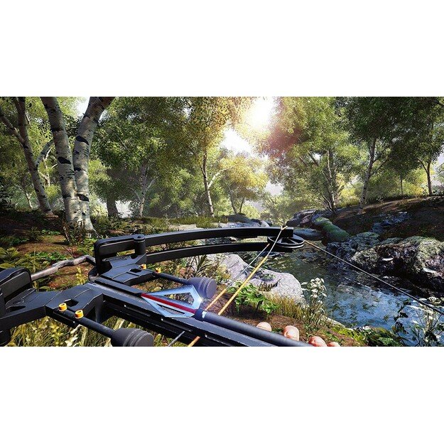 Hunting Simulator (Import)

  - Nintendo Switch