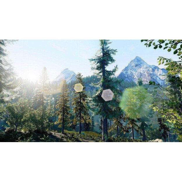 Hunting Simulator (Import)

  - Nintendo Switch