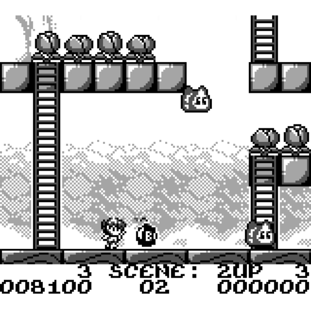 Rod Land (Collectors Edition)

  - Nintendo Entertainment System