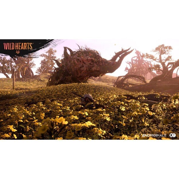 Wild Hearts

  - PlayStation 5
