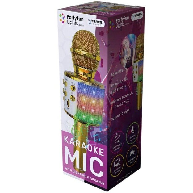 Party Fun Lights - Karaoke Microphone with Speaker - Gold (605602)