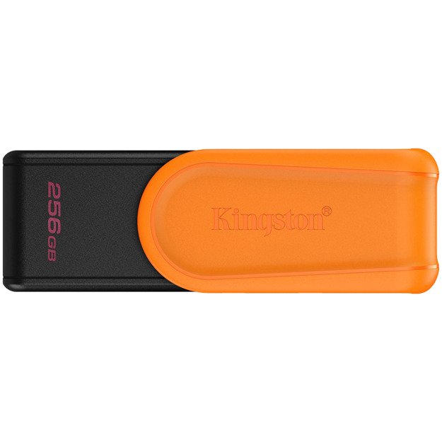 Memory USB flash KINGSTON DTXS/256GB 2