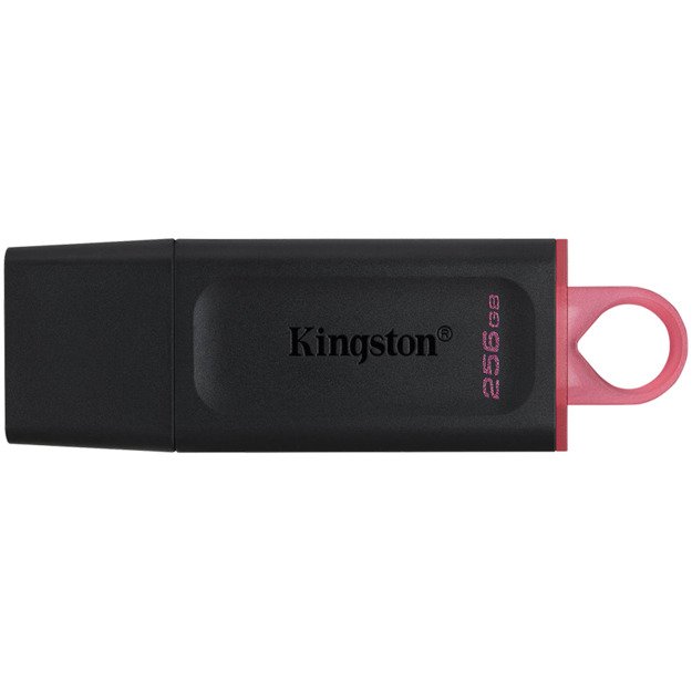 Memory USB flash KINGSTON DTXS/256GB 1