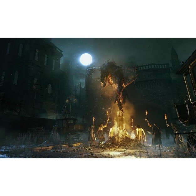 Bloodborne (Game of the Year Edition) (SP/Multi in Game)

  - PlayStation 4