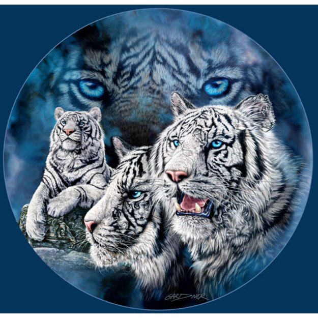 Deimantinis dažymas deimantiniais siuvinėjimo mozaikos rinkiniais 5D 123