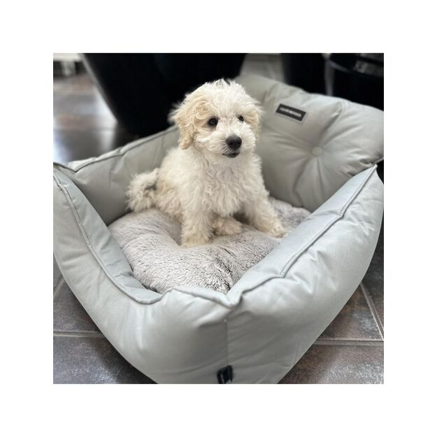 Nordic paws - Cozy Lux Carseat  53x50x35 cm 2