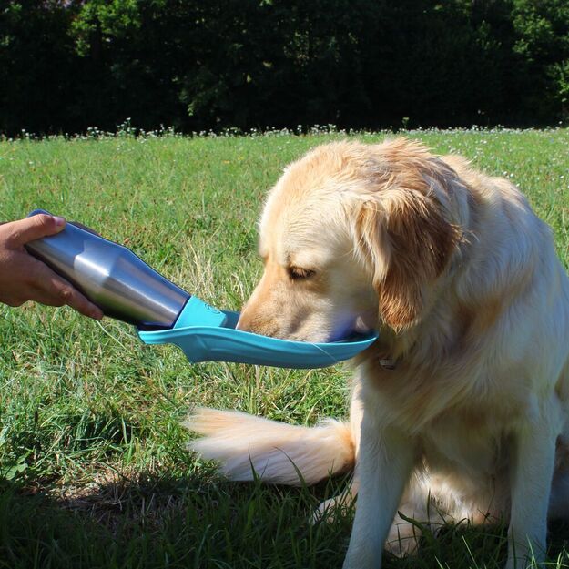Winkee - Water bottle for dogs 2