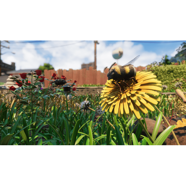 Grounded Fully Yorked Edition (Limited Run) 7