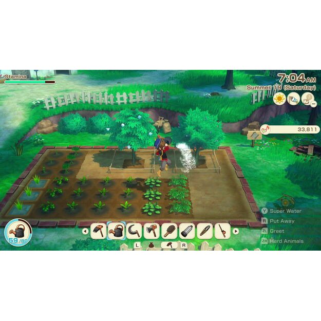 Story of Seasons: Grand Bazaar 1