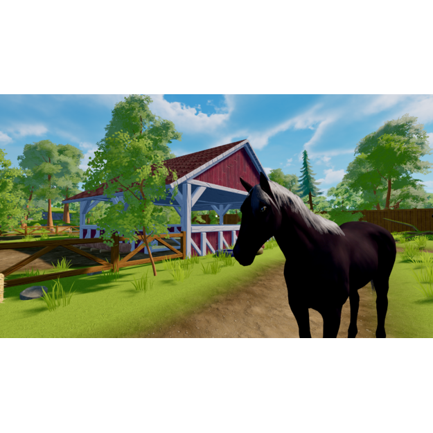 Sophia's Animal Clinic - Mission Wildlife Park