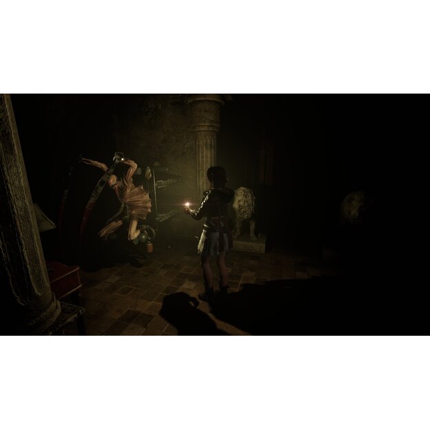 Tormented Souls (Code in a box) - Nintendo Switch