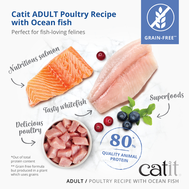 Catit - Premium Dry Food for Cats - Adult Fish - 2kg
