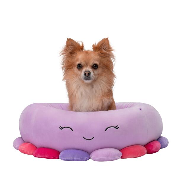Squishmallows - Pet Bed - Octopus 50 cm (JPT0085-S)