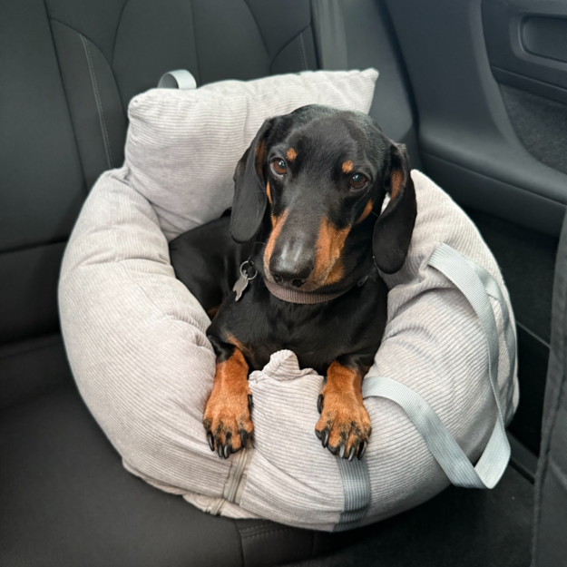 TOT - Soft Dog Car seat 60x58x38cm - Comfort on the go