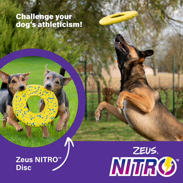Zeus Nitro - Flying Disc - Yellow and Blue - Ø24cm