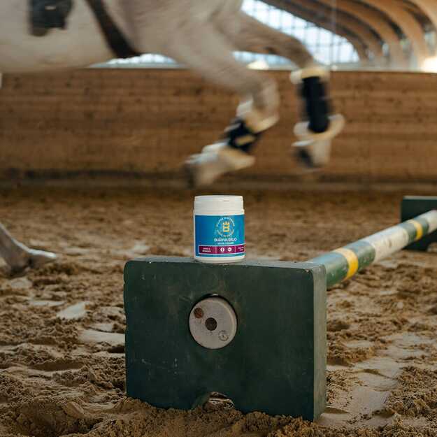 Biofarmab - Devil’s Claw - 600g