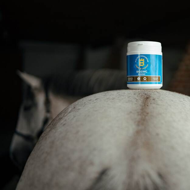 Biofarmab - BioZinc - 400g