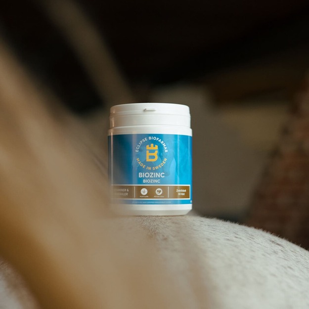 Biofarmab - BioZinc - 400g