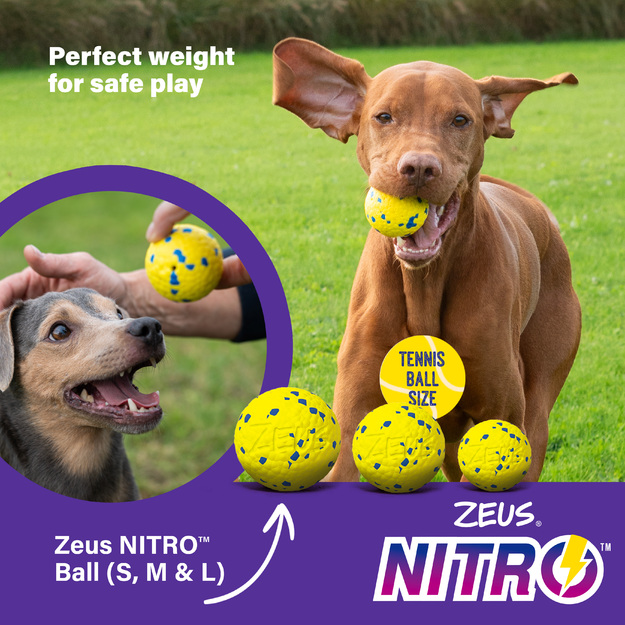 Zeus Nitro - Weighted Ball - Yellow and Blue - Medium, Ø6.3cm