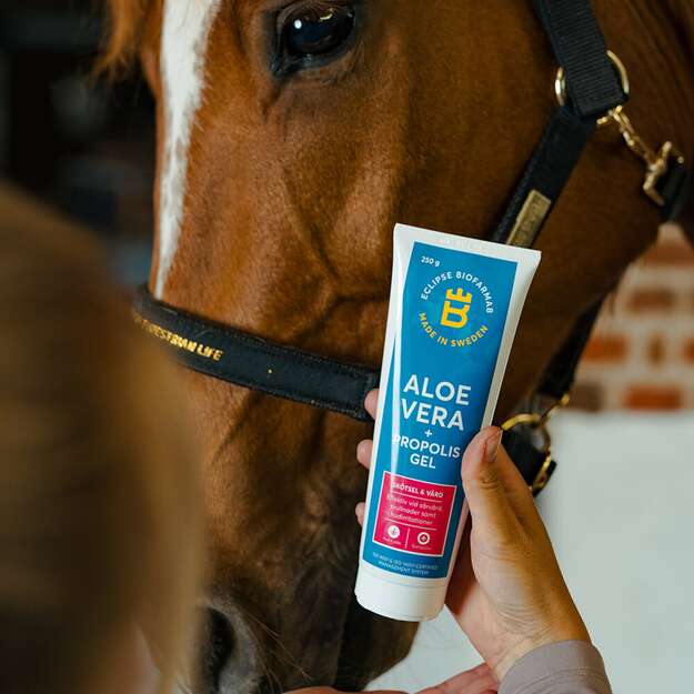 Biofarmab Aloe Vera + Propolis Gel - 250g