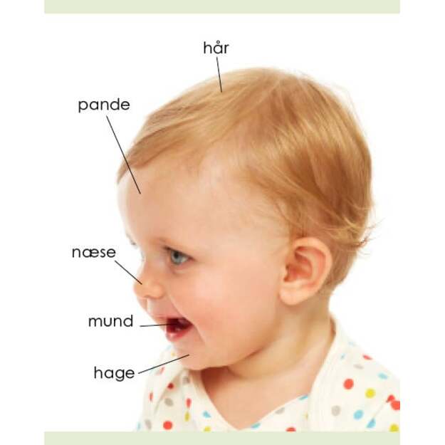 Kigge-pege-snakke: Kroppen