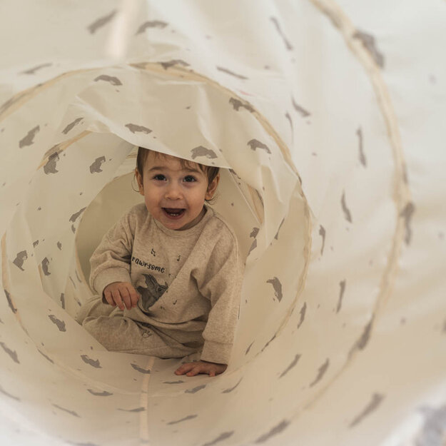 That's Mine - Theo activity tunnel - Bees and bears (0010960101430)