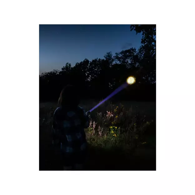 Sandberg - Survivor Torch Powerbank 5000