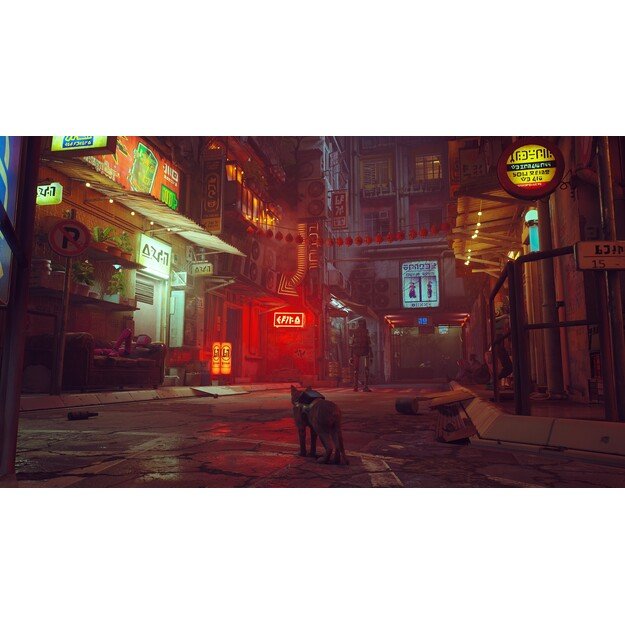 Stray
      
        - Nintendo Switch