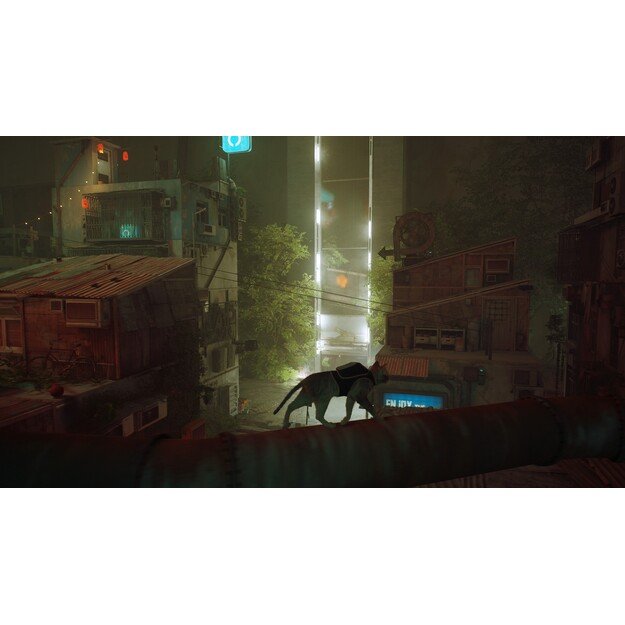 Stray
      
        - Nintendo Switch