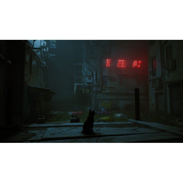 Stray
      
        - Nintendo Switch