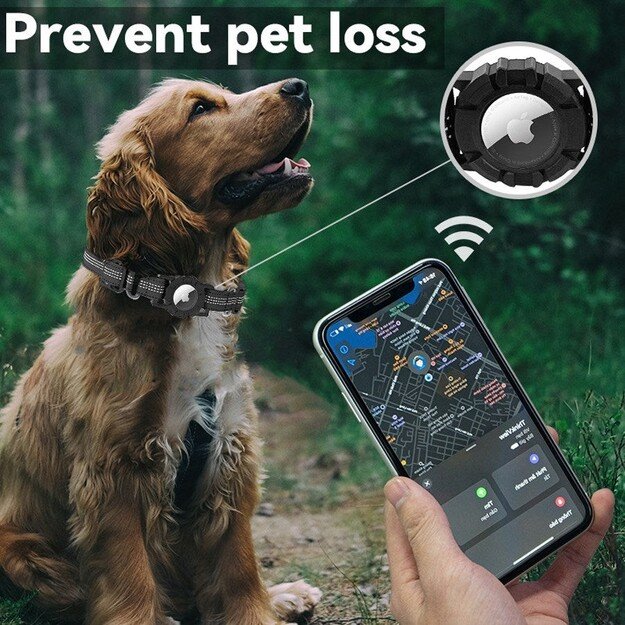 Lippa - Collar For Dogs - Black - M