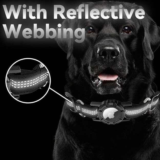 Lippa - Collar For Dogs - Black - M