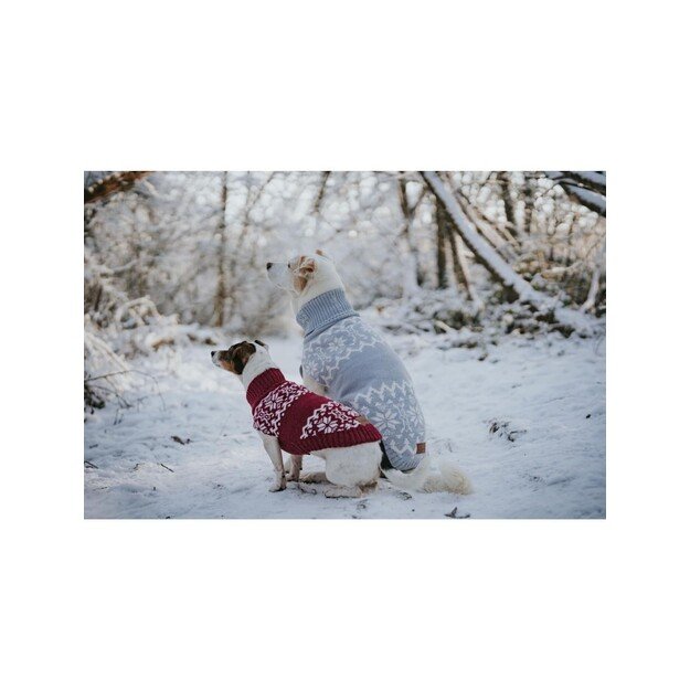 Hunter - Dogcoat Birka 40, grey - (203479)