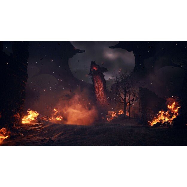 Dragon's Dogma 2

  - PlayStation 5