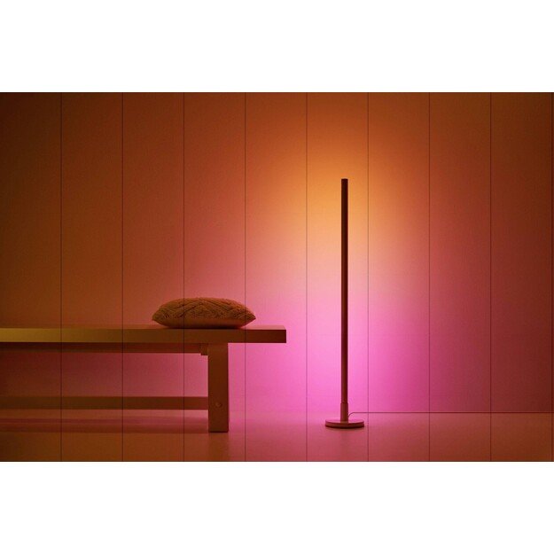 WiZ - Luminaire Pole Floor Lamp