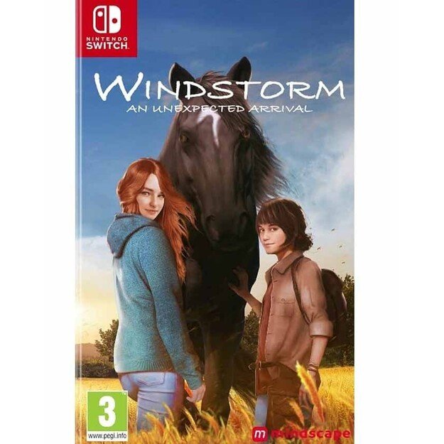 Windstorm: An Unexpected Arrival (Code in Box)
      
        - Nintendo Switch