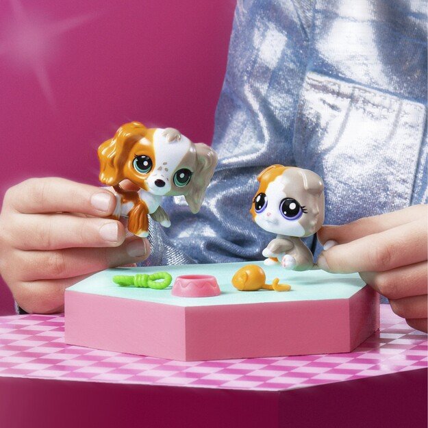 Littlest Pet Shop - Pet Pair Ass CDU - (00623)