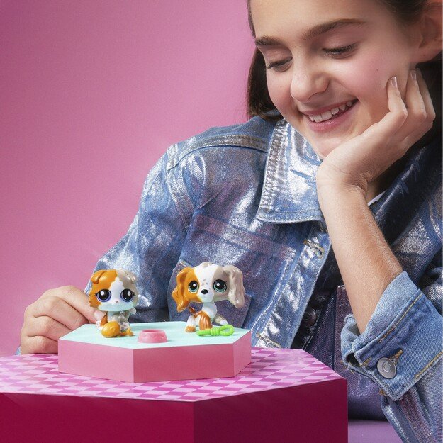 Littlest Pet Shop - Pet Pair Ass CDU - (00623)