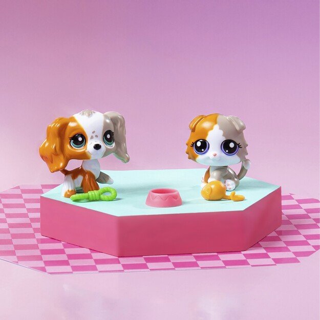 Littlest Pet Shop - Pet Pair Ass CDU - (00623)