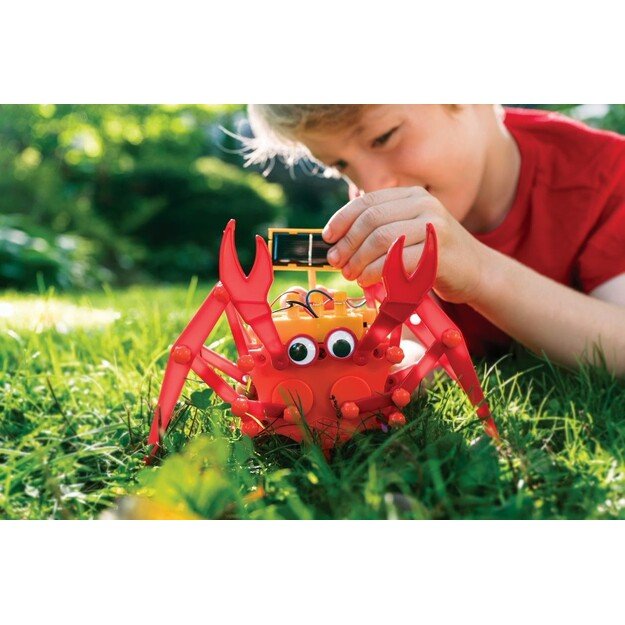 4M - Green Science / Hybrid Crabot - (4M-03448)