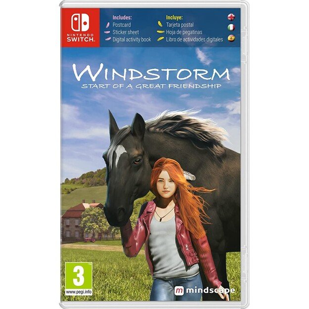 Windstorm: Start of a Great Friendship
      
        - Nintendo Switch