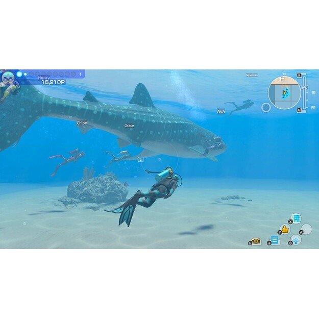 Endless Ocean Luminous
      
        - Nintendo Switch