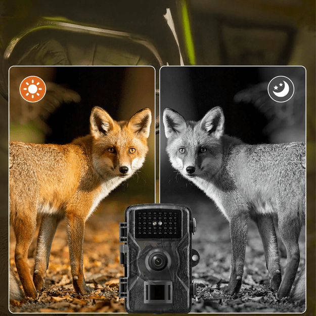Kamera Leśna Fotopułapka Myśliwska Ip66 Czujnik Ruchu IR Tryb Nocny 1080p 14