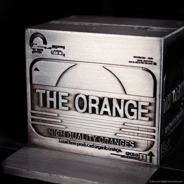 Metal Gear Solid 2 Replica Cardboard Box 2
