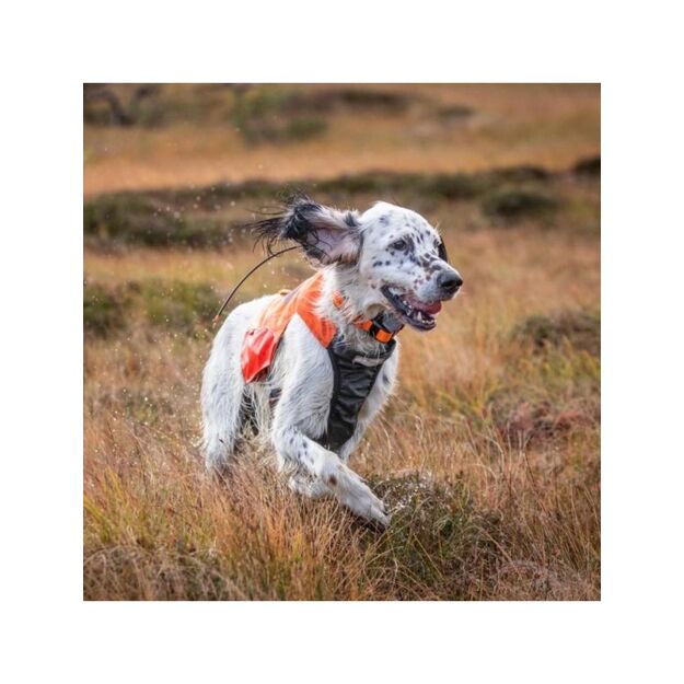 NON STOP - Non-Stop Protector Vest - Orange - M 3