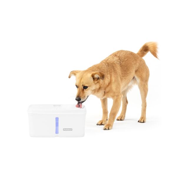 Petsafe - Viva Fountain - 4.1L 4