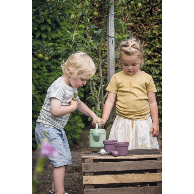 Dantoy - Green Garden - Mini Greenhouse Set (4725)