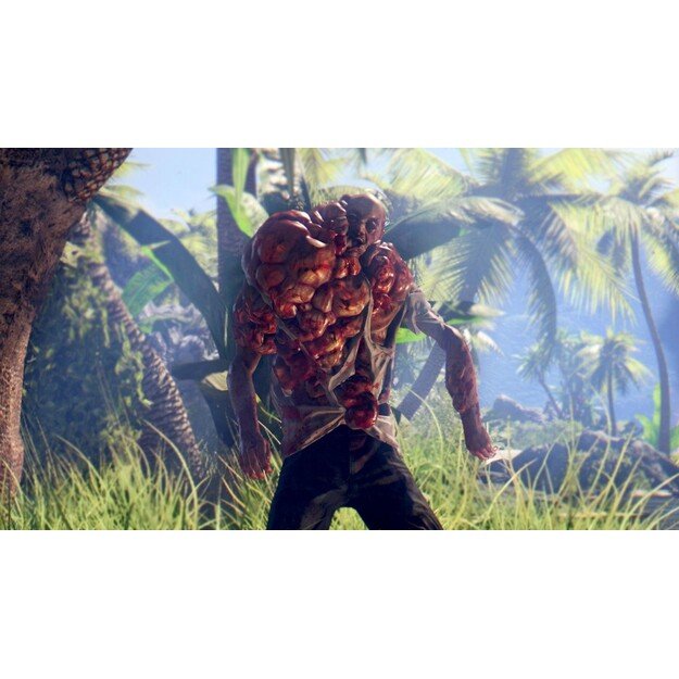 Dead Island - Definitive Collection
      
        - Xbox One