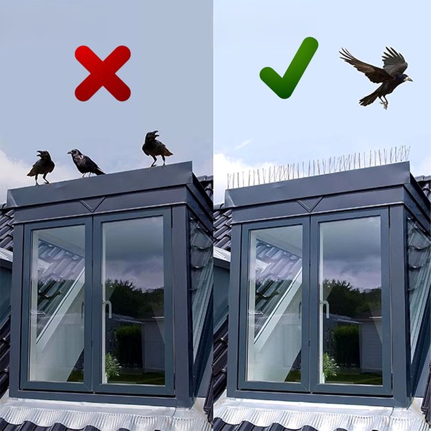 20 x metalinių nerūdijančio plieno paukščių spyglių balandžiams ir žvirbliams, 50 cm, palangės karnizui