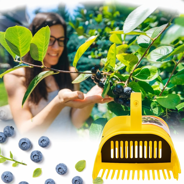 Berry Picker Blueberry Machine Fruit Picker Currant Comb